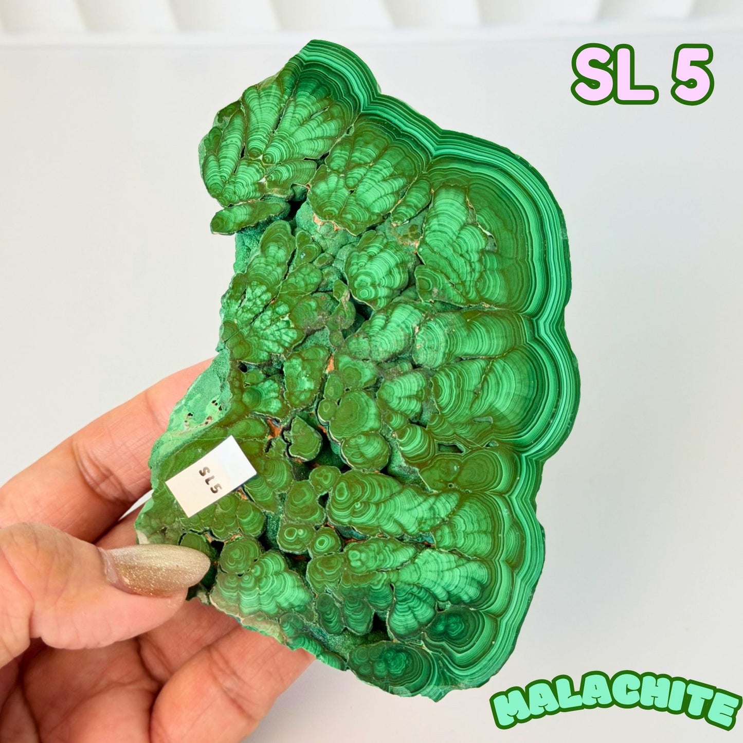 Natural Congo Malachite Slab | SL 5