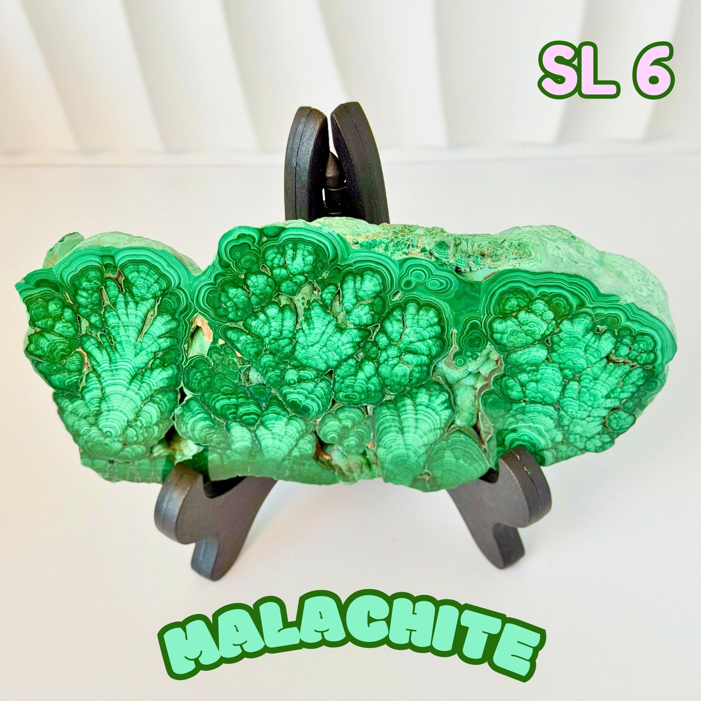 Natural Congo Malachite Slab | SL 6