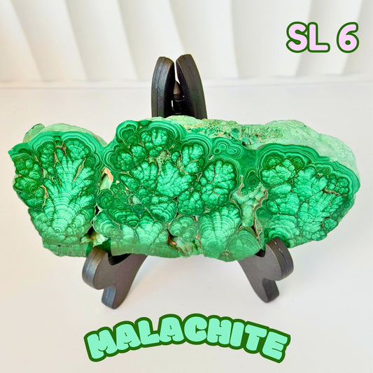 Natural Congo Malachite Slab | SL 6
