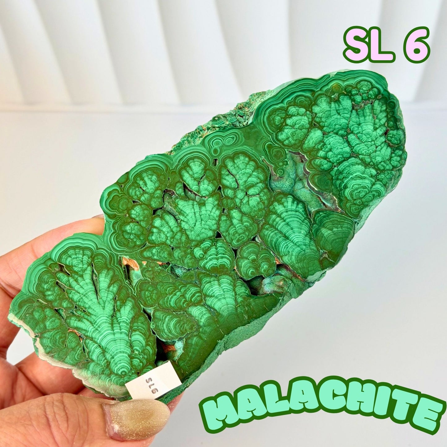Natural Congo Malachite Slab | SL 6