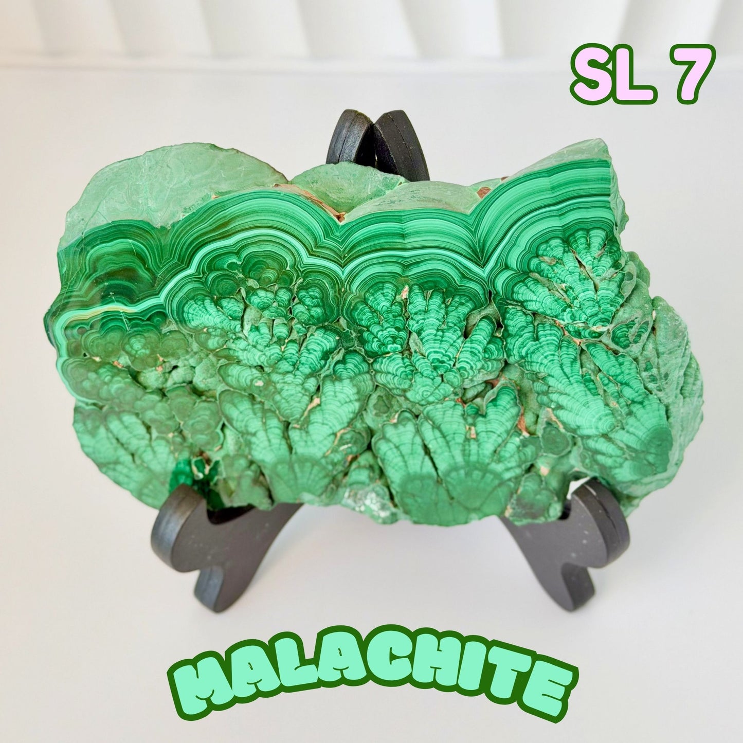 Natural Congo Malachite Slab | SL 7