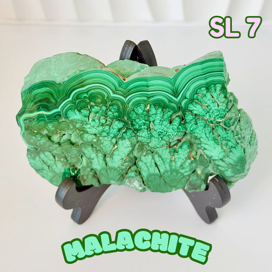 Natural Congo Malachite Slab | SL 7