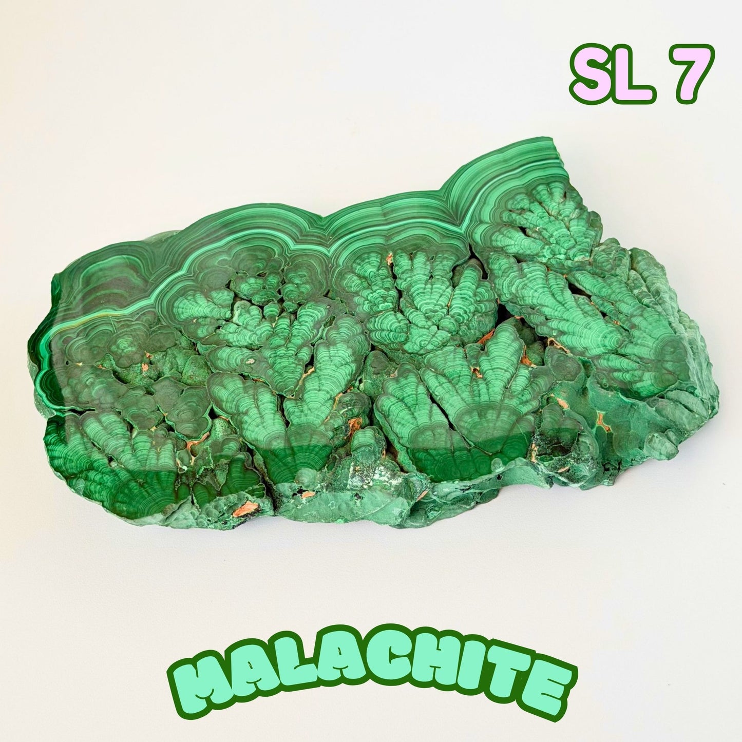 Natural Congo Malachite Slab | SL 7
