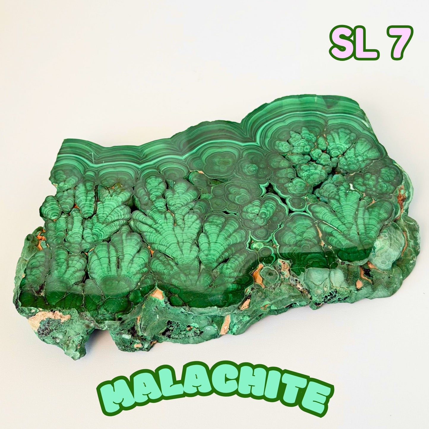 Natural Congo Malachite Slab | SL 7
