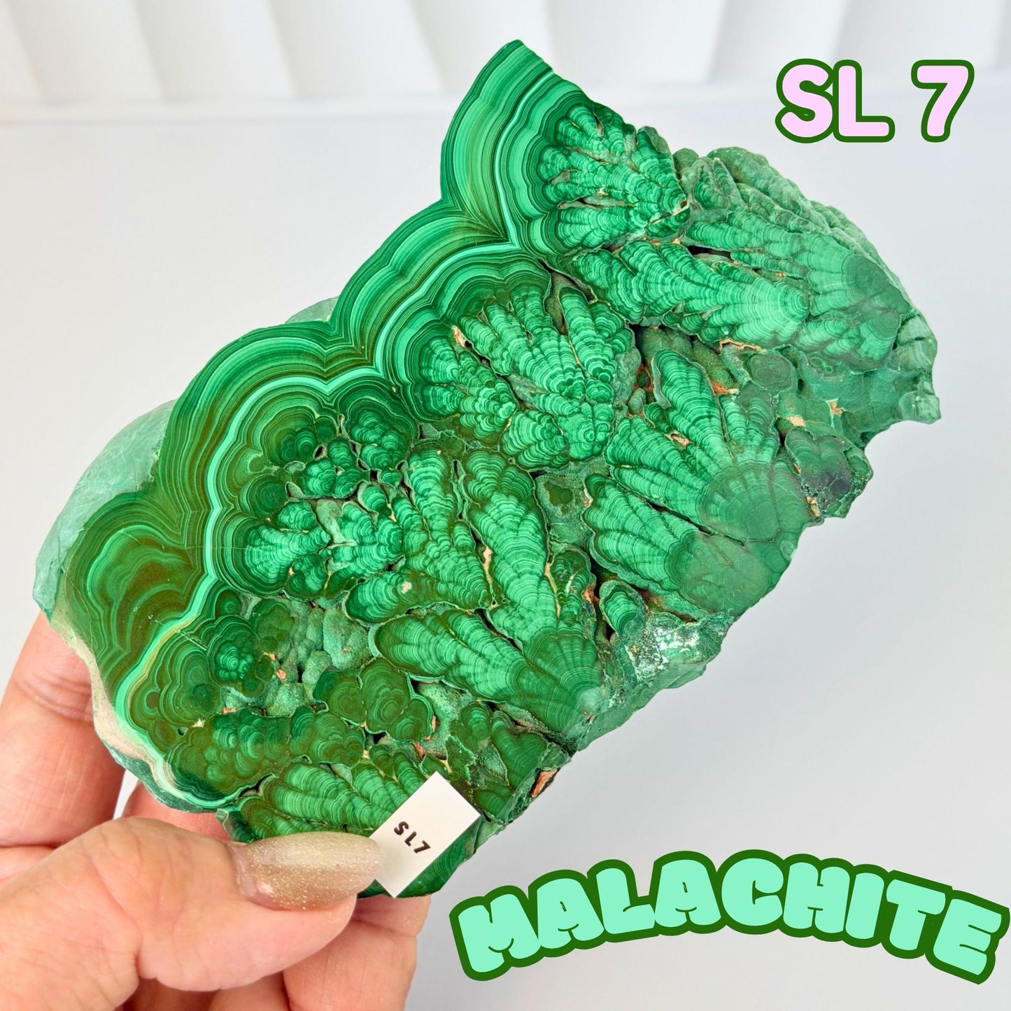 Natural Congo Malachite Slab | SL 7