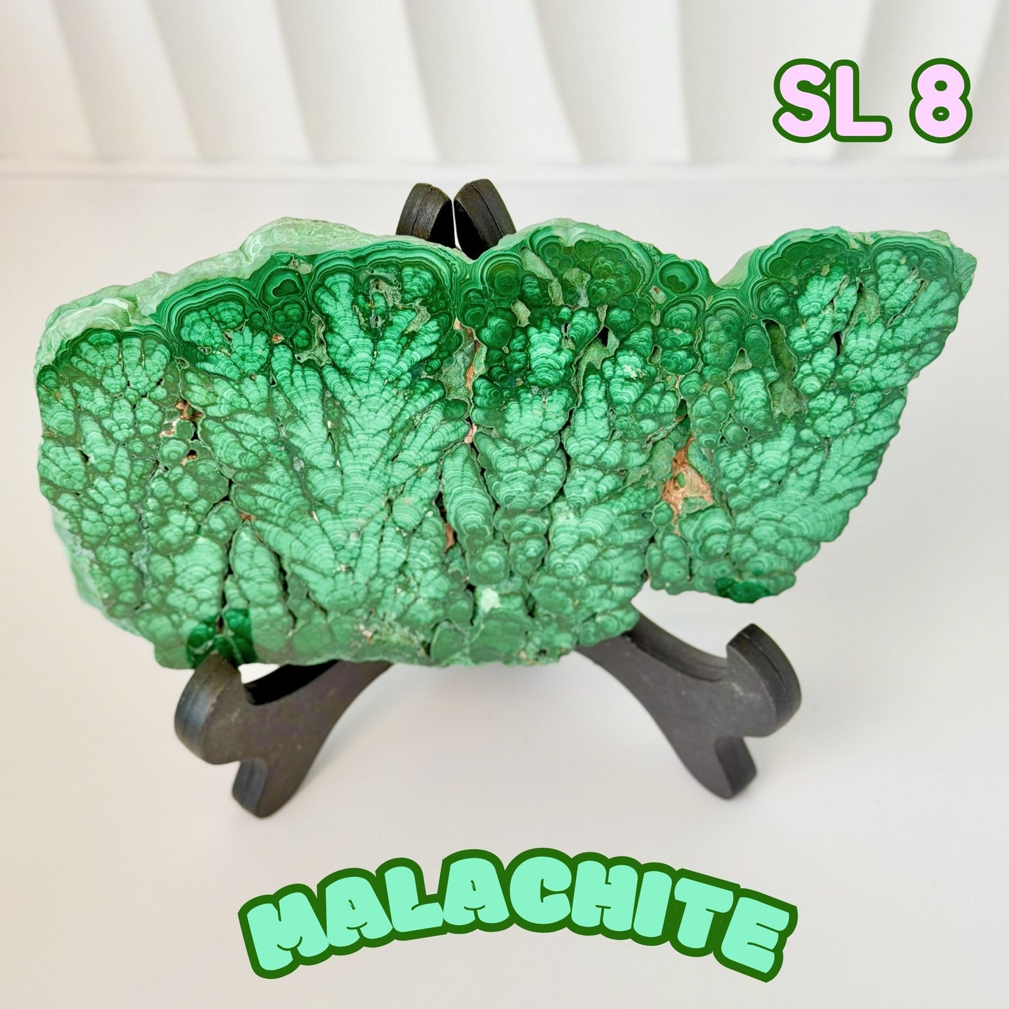 Natural Congo Malachite Slab | SL 8