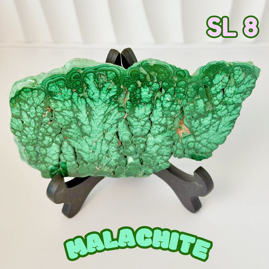 Natural Congo Malachite Slab | SL 8
