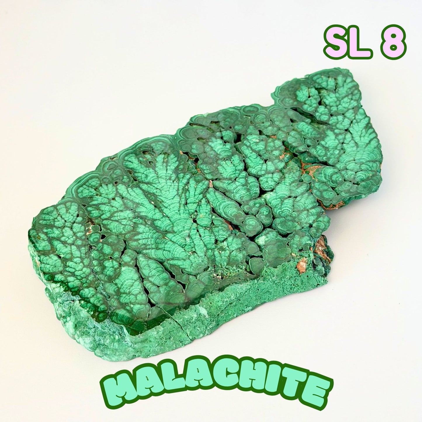 Natural Congo Malachite Slab | SL 8