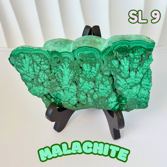Natural Congo Malachite Slab | SL 9