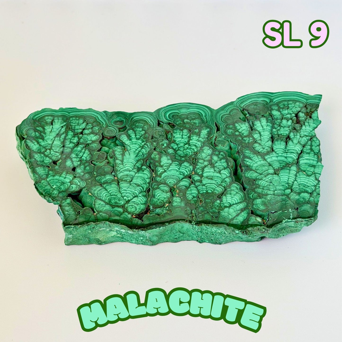 Natural Congo Malachite Slab | SL 9