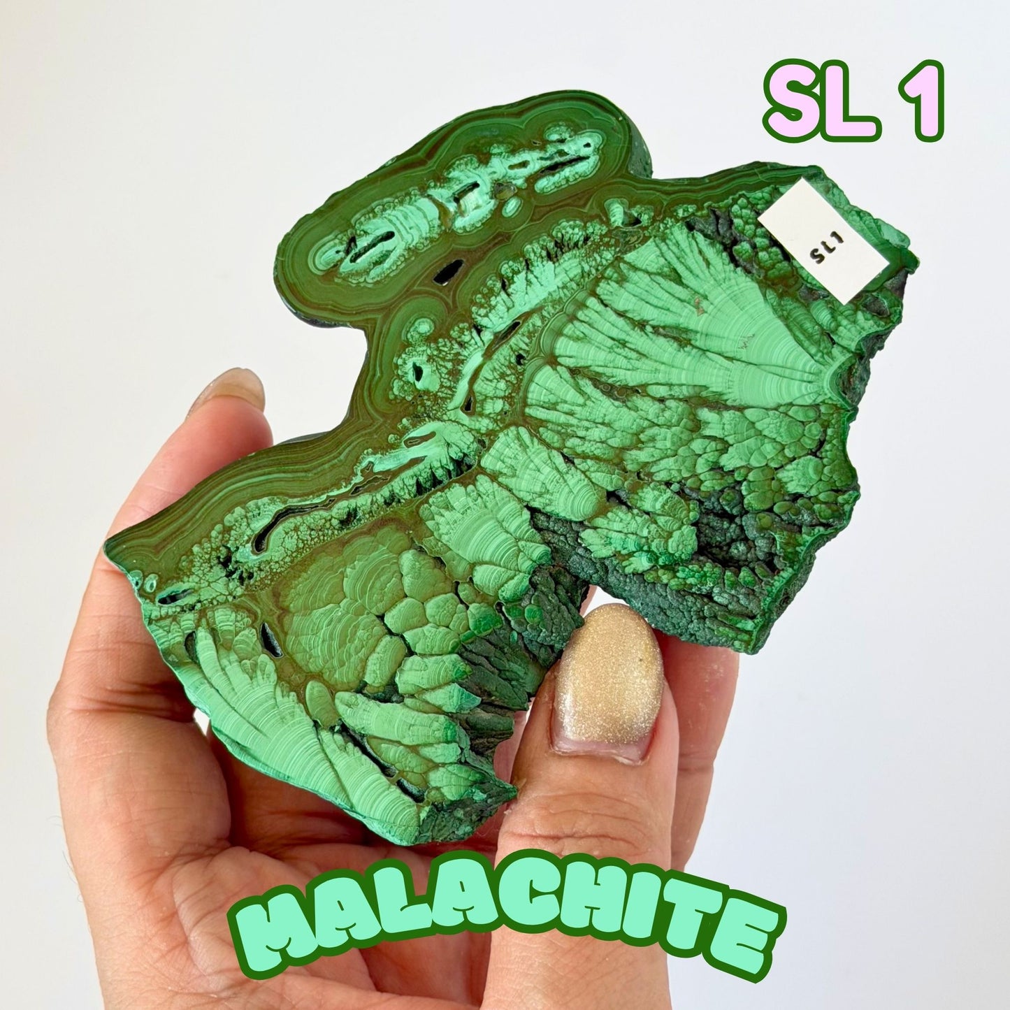 Natural Congo Malachite Slab | SL 1