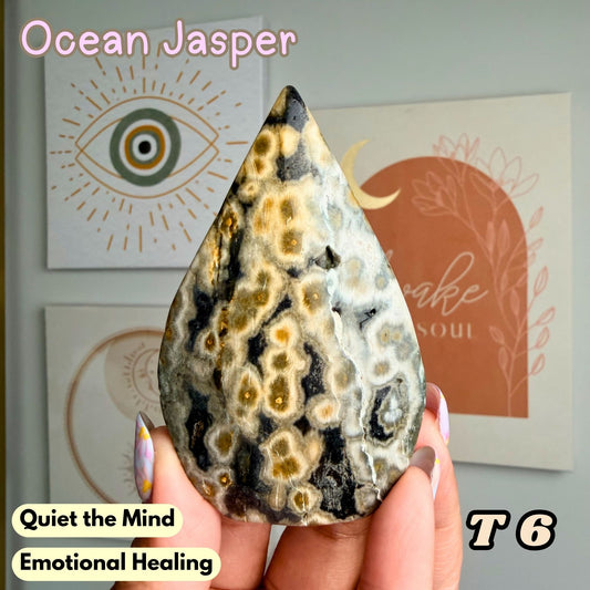 Ocean Jasper Flame Freeform | T6
