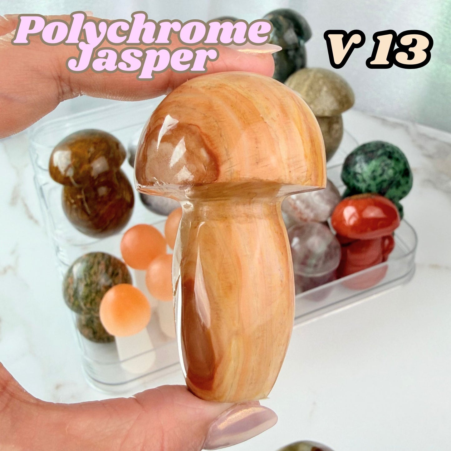 Polychrome Jasper Mushroom Carving | V13