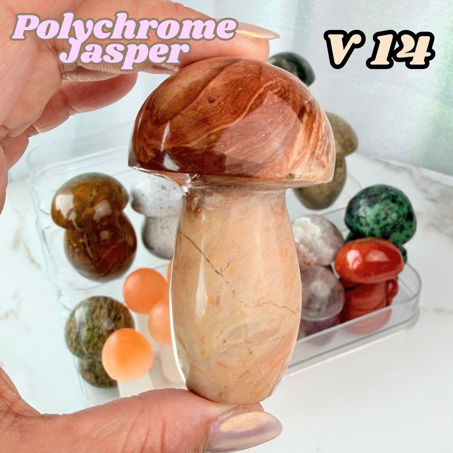 Polychrome Jasper Mushroom Carving | V14