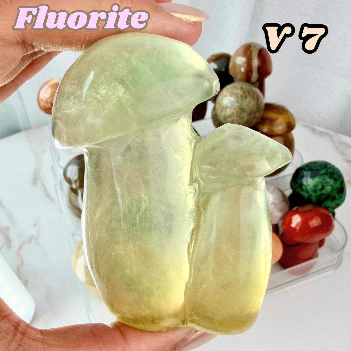 Fluorite Mushroom Carving | V7
