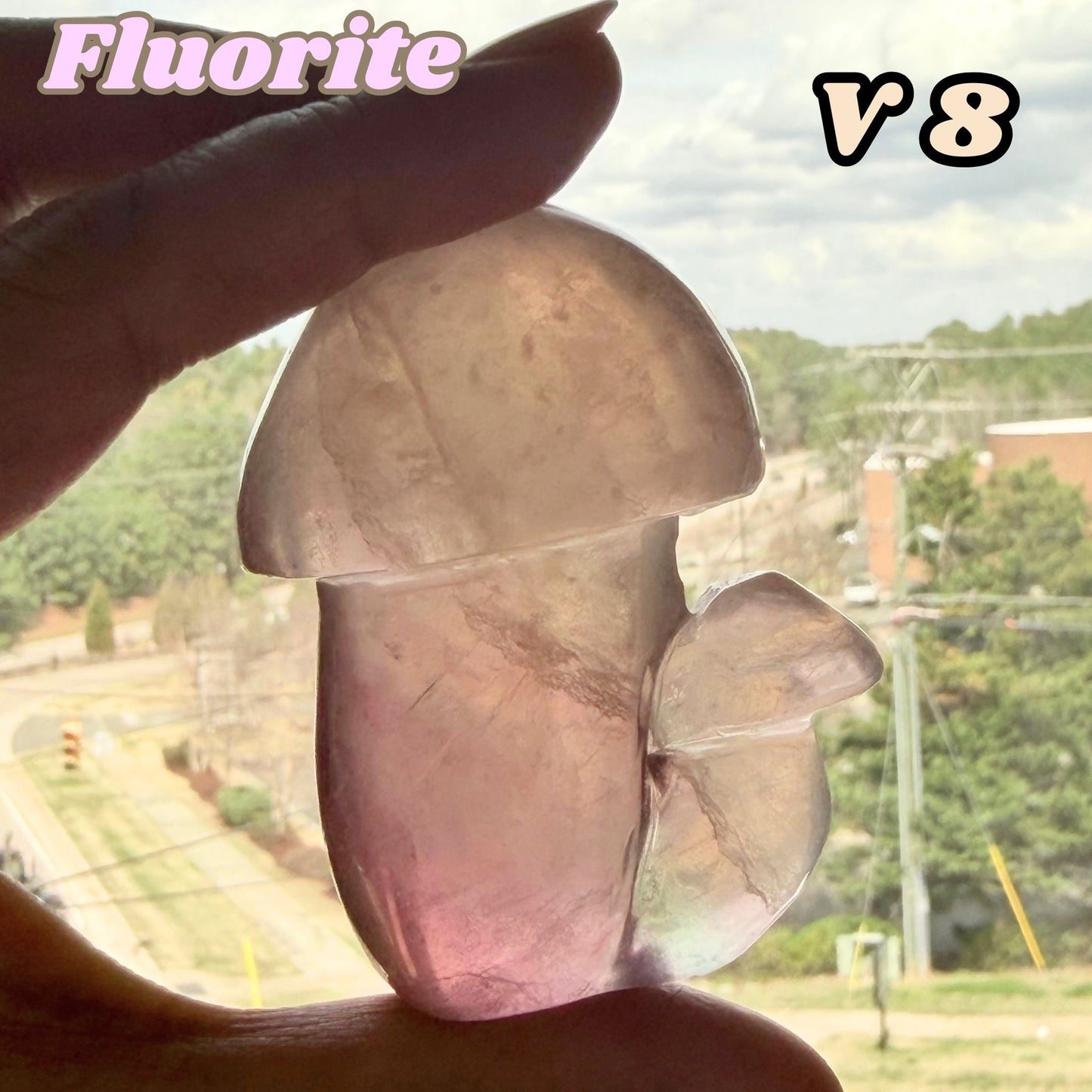 Fluorite Mushroom Carving | V8