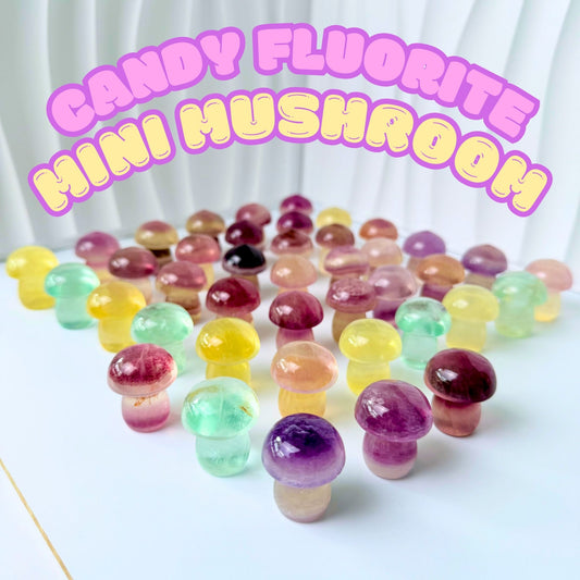 Candy Fluorite Mini Mushroom | Intuitively Chosen