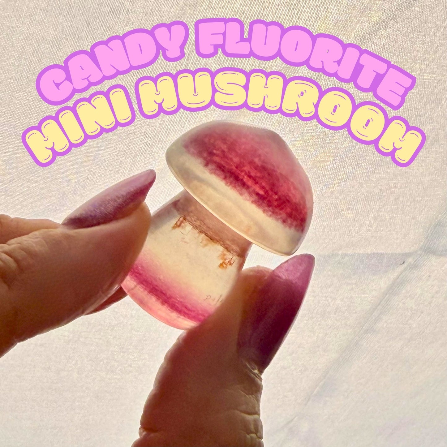 Candy Fluorite Mini Mushroom | Intuitively Chosen