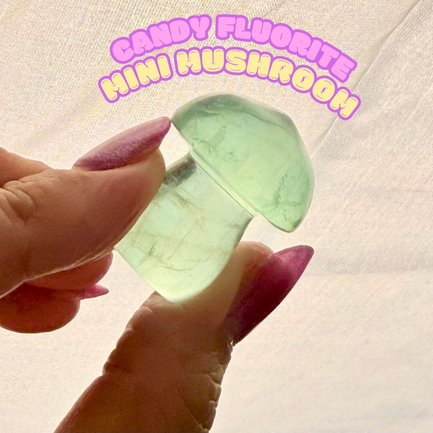 Candy Fluorite Mini Mushroom | Intuitively Chosen