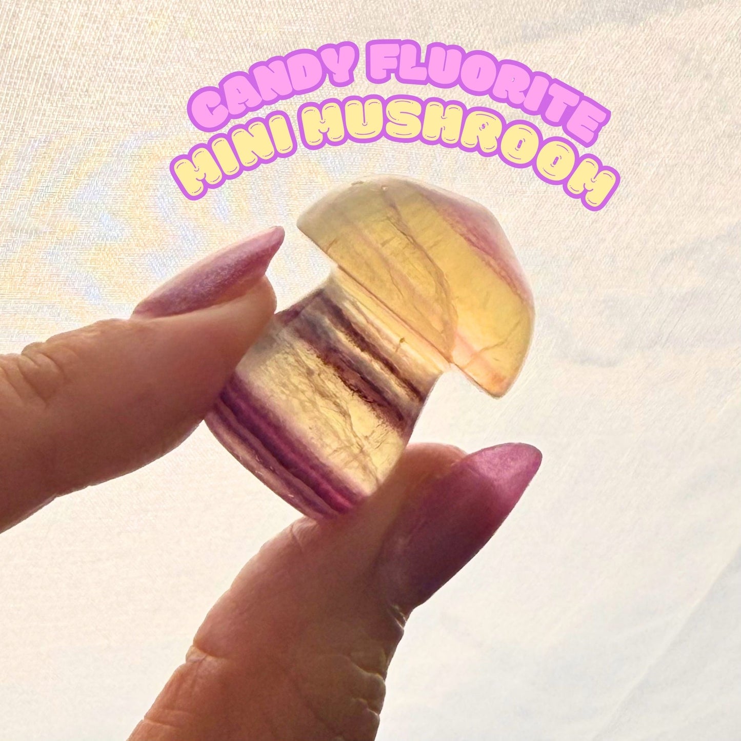 Candy Fluorite Mini Mushroom | Intuitively Chosen