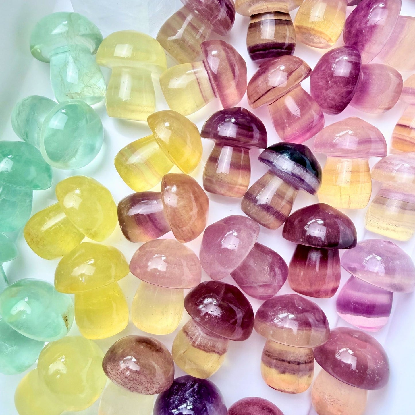 Candy Fluorite Mini Mushroom | Intuitively Chosen
