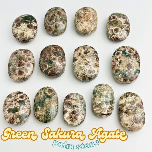 Green Sakura Agate Palm Stone | Intuitively Chosen