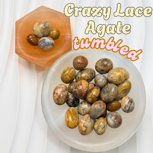Crazy Lace Agate Tumbled Stone