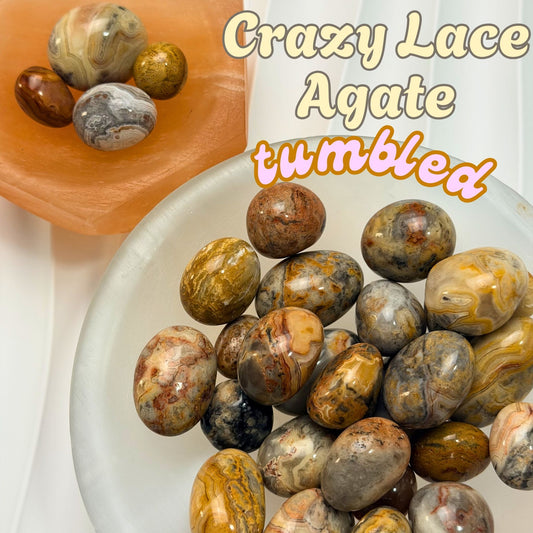 Crazy Lace Agate Tumbled Stone