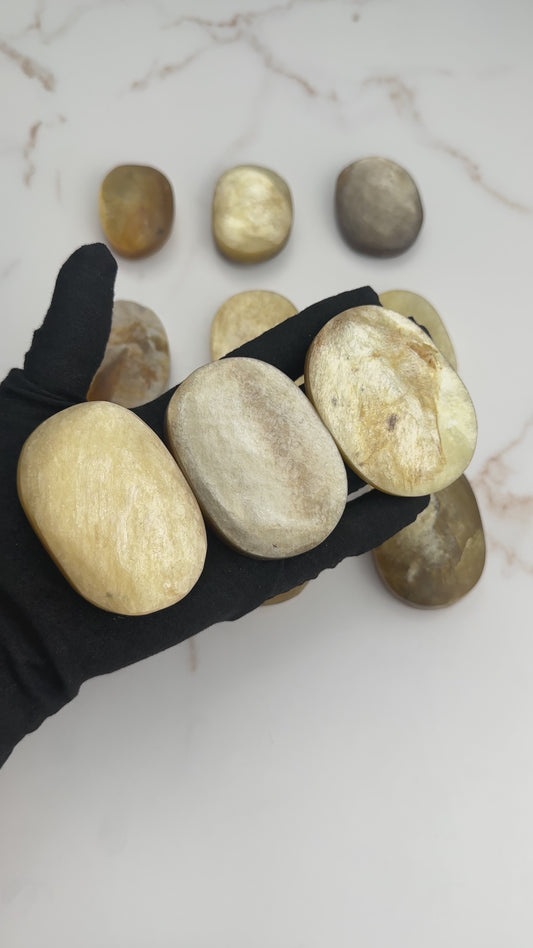 Golden Mica Palm Stone | Intuitively Chosen