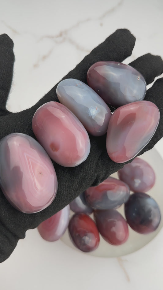 Swazi Agate Palm Stone | Intuitively Chosen